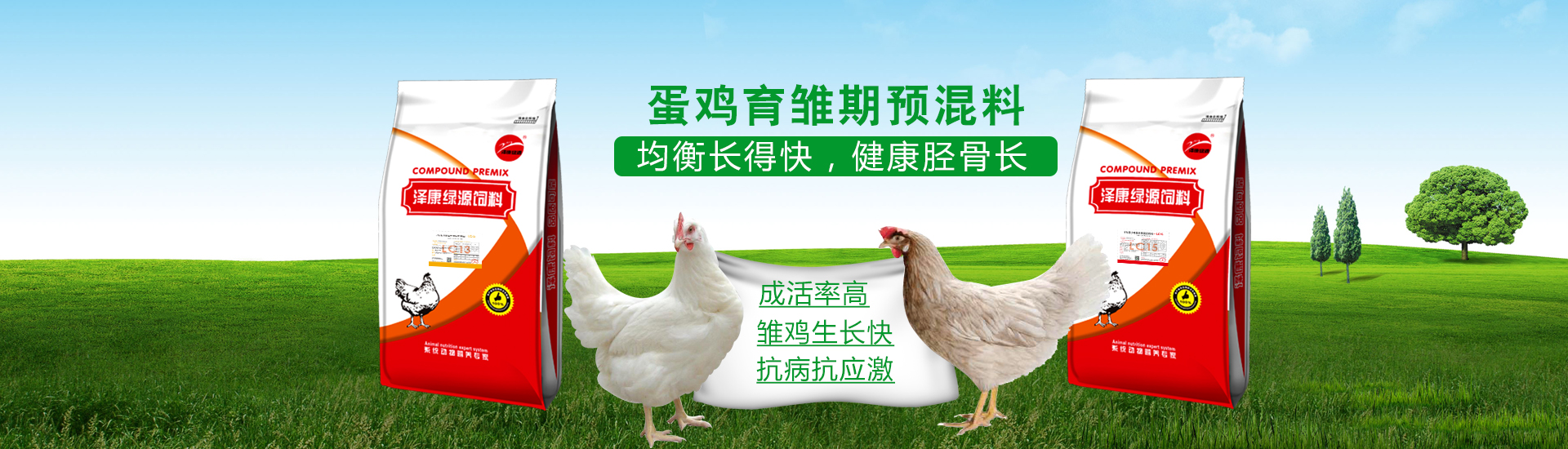 PC端幻灯一